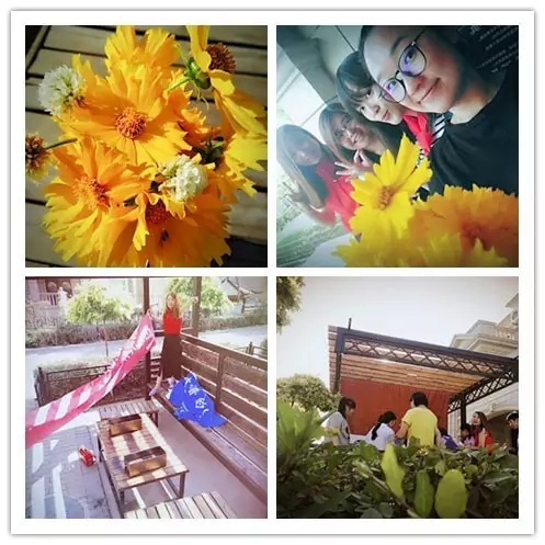 網(wǎng)勢(shì)科技6周歲生日快樂！